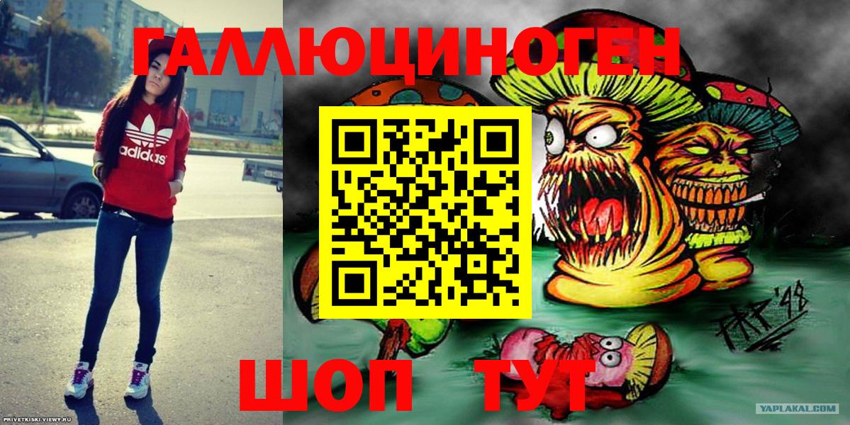 Галлюциногенные грибы Psilocybine cubensis Урюпинск