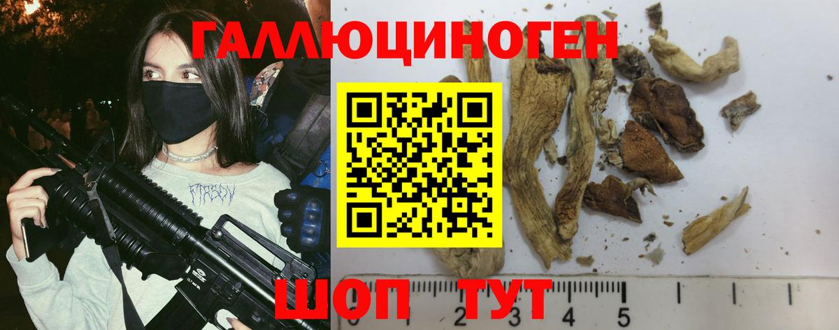Псилоцибиновые грибы мицелий  Вход с VPN  Урюпинск 